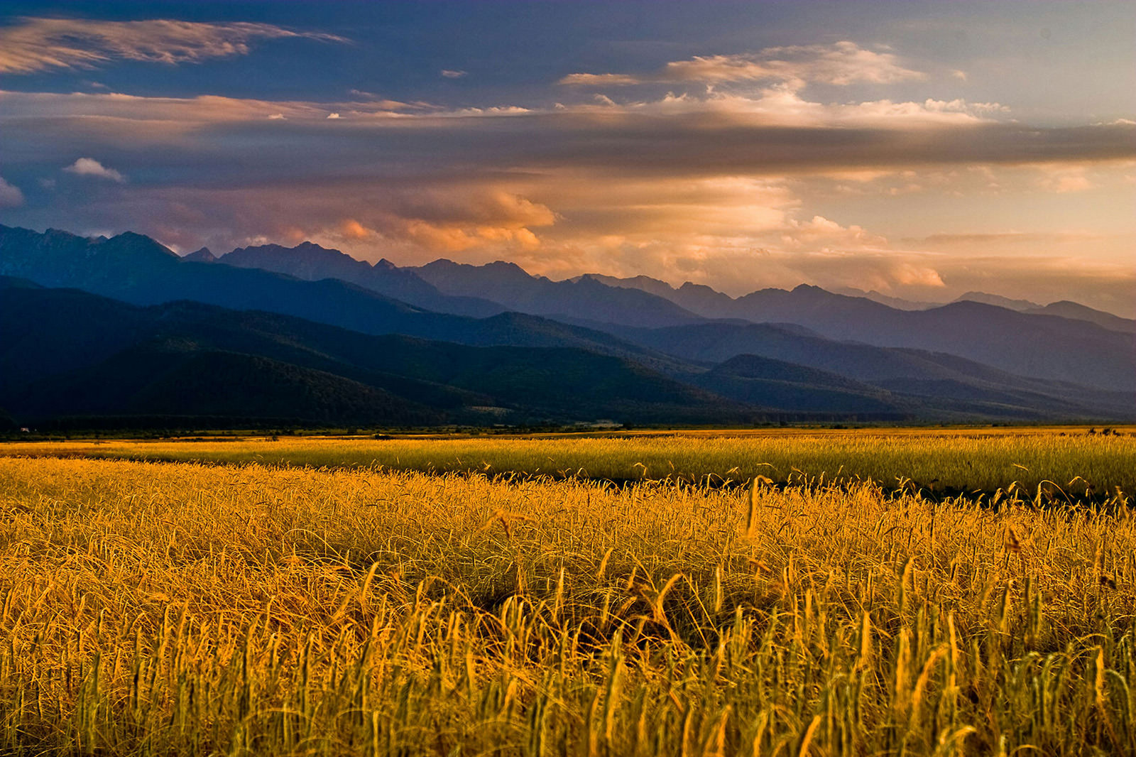 Premium landscape background